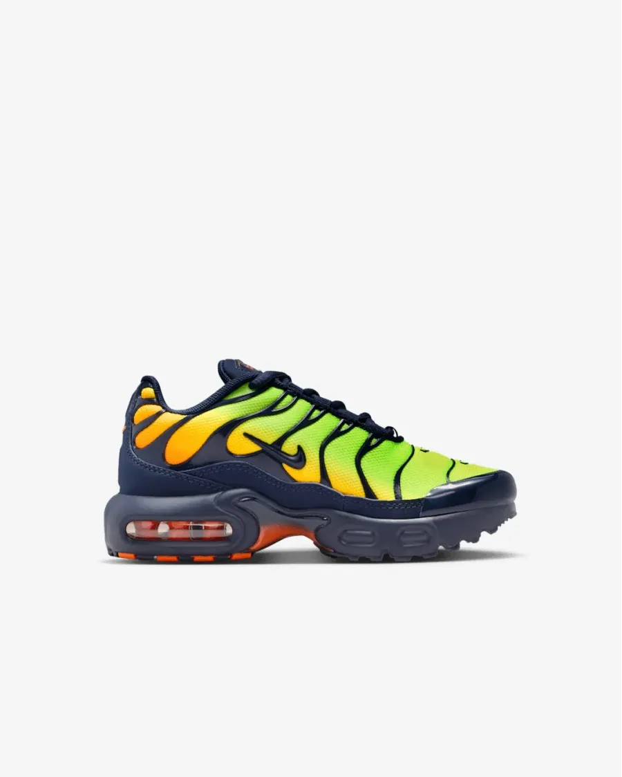 Кросівки Nike Air Max Plus FZ0023-700