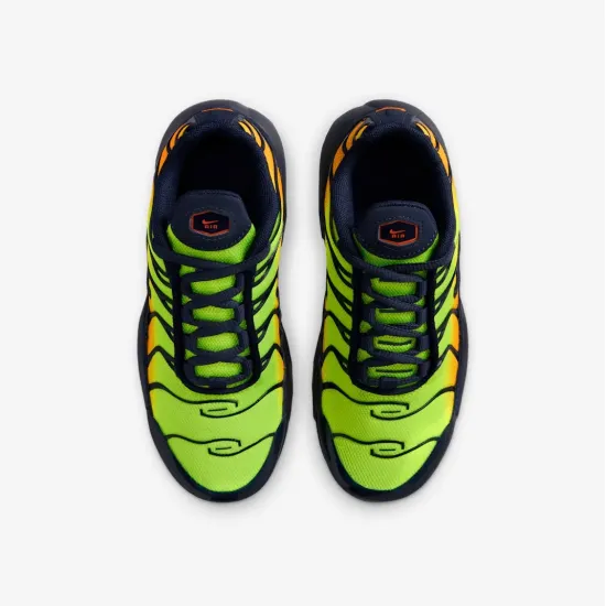 Кросівки Nike Air Max Plus FZ0023-700
