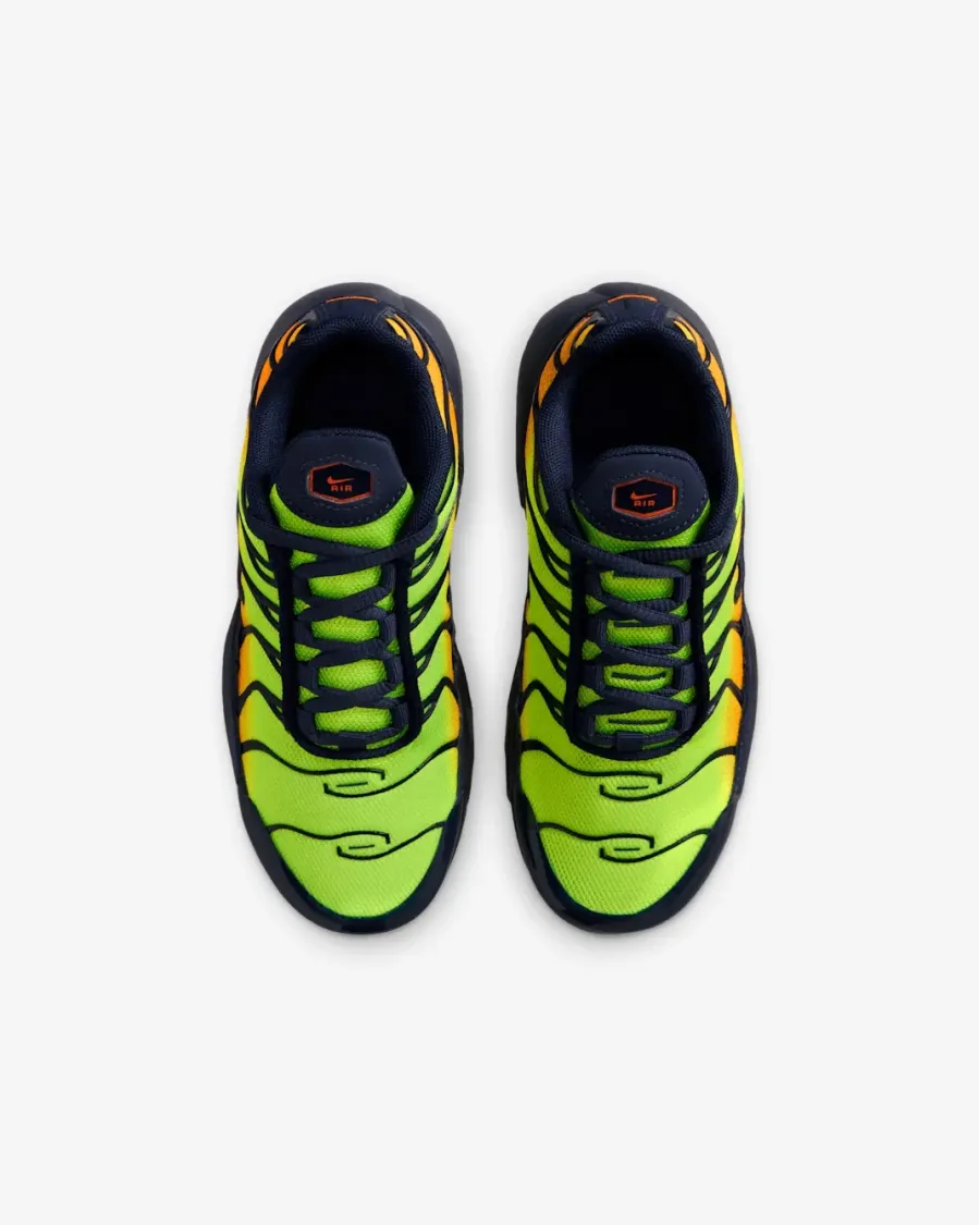 Кросівки Nike Air Max Plus FZ0023-700