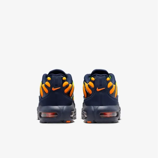 Кросівки Nike Air Max Plus FZ0023-700