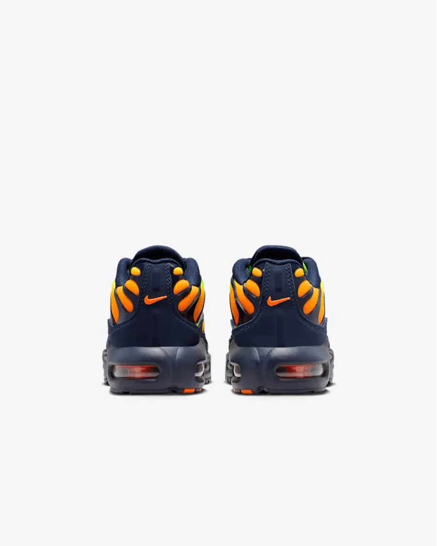 Кросівки Nike Air Max Plus FZ0023-700