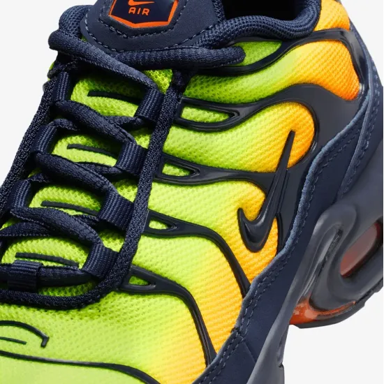 Кросівки Nike Air Max Plus FZ0023-700
