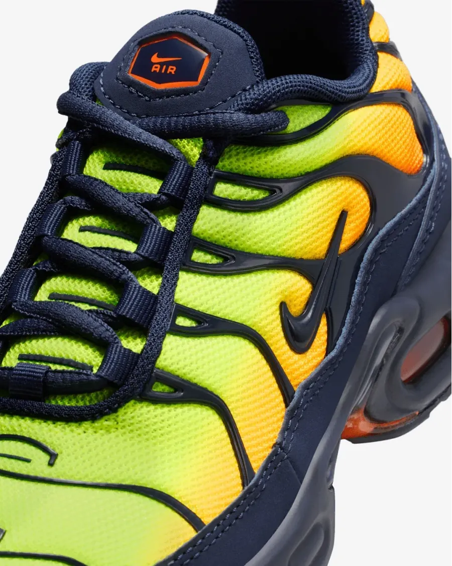 Кросівки Nike Air Max Plus FZ0023-700