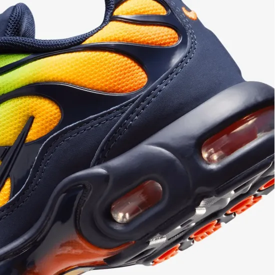 Кросівки Nike Air Max Plus FZ0023-700