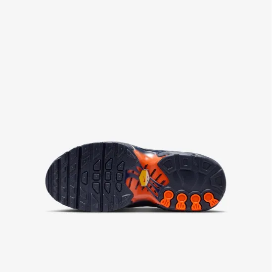 Кросівки Nike Air Max Plus FZ0023-700