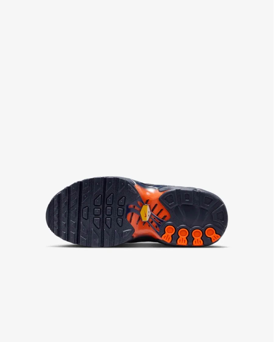 Кросівки Nike Air Max Plus FZ0023-700