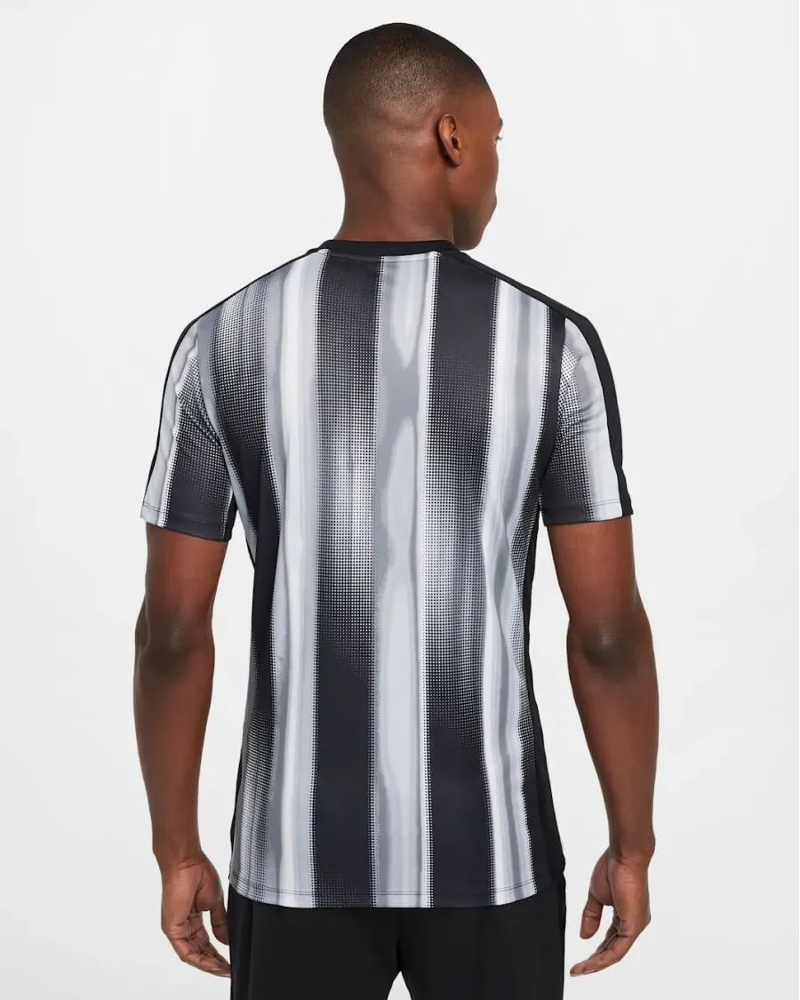 Футболка Nike Dri-FIT Academy SS Top FZ0505-010