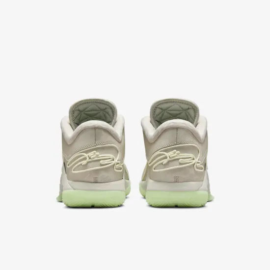 Кросівки Nike LeBron XXII FZ1094-002