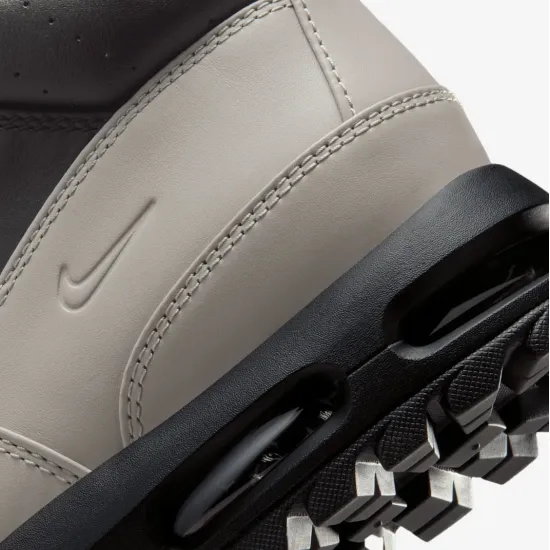 Черевики Nike Air Max Goadome FZ1314-002