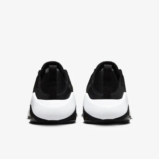 Кросівки Nike Air Zoom Bella 7 FZ1689-003