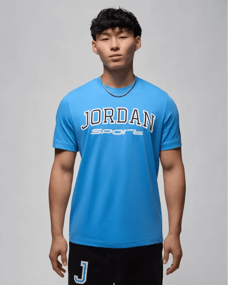 Футболка Nike Air Jordan Spirit Arch Crew FZ1985-469