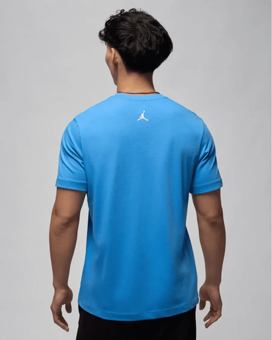 Футболка Nike Air Jordan Spirit Arch Crew FZ1985-469