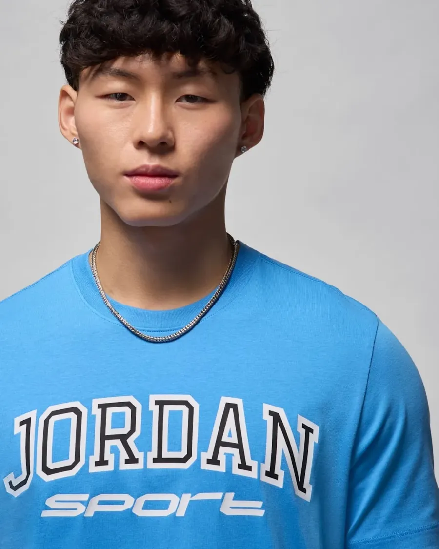 Футболка Nike Air Jordan Spirit Arch Crew FZ1985-469