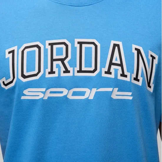 Футболка Nike Air Jordan Spirit Arch Crew FZ1985-469