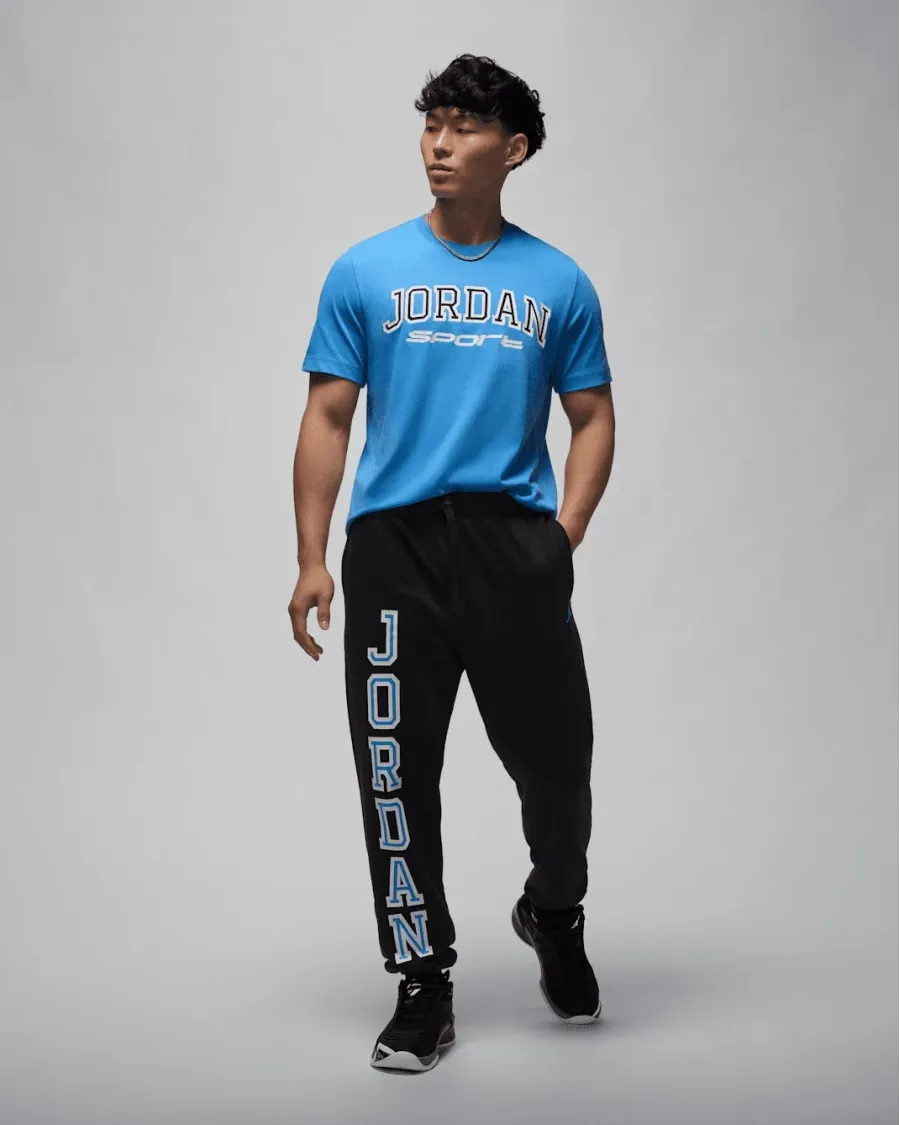 Футболка Nike Air Jordan Spirit Arch Crew FZ1985-469