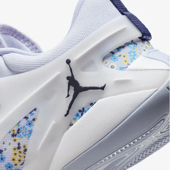 Кросівки Nike Air Jordan Heir Series FZ2471-004
