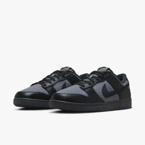 Кросівки Nike Dunk Low Retro SE Winterized FZ3052-001