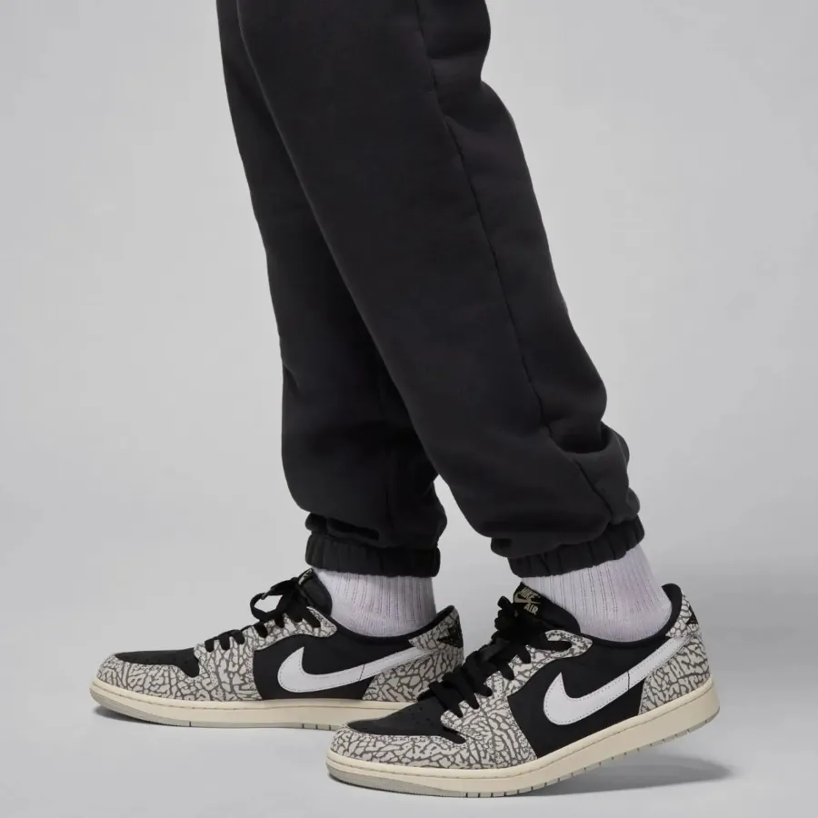 Штани Nike Air Jordan Wordmark Fleece FZ3954-045
