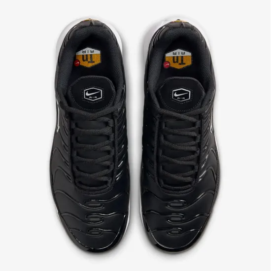 Кросівки Nike Air Max Plus FZ4150-001