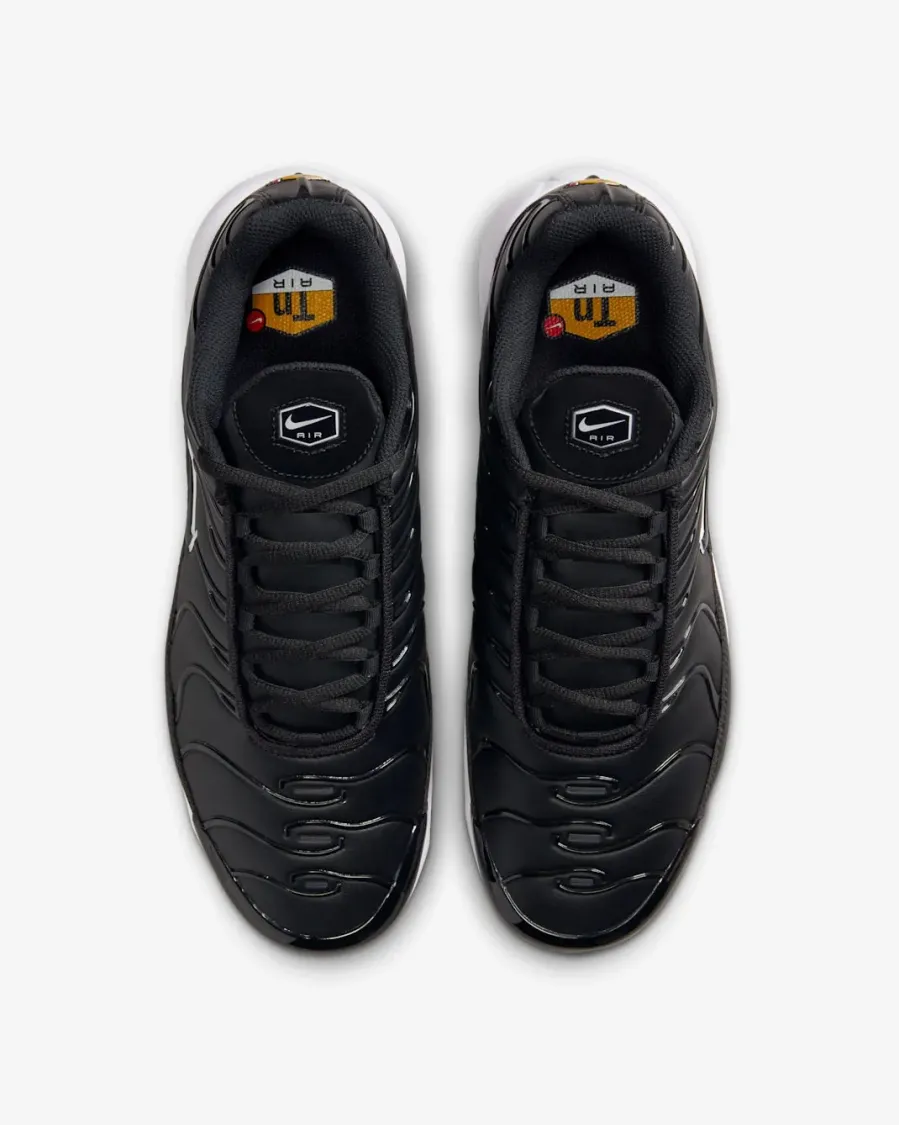 Кросівки Nike Air Max Plus FZ4150-001