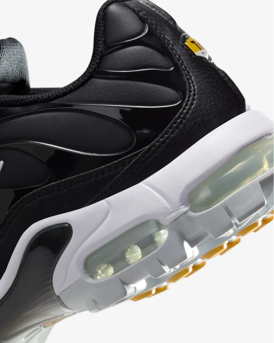 Кросівки Nike Air Max Plus FZ4150-001