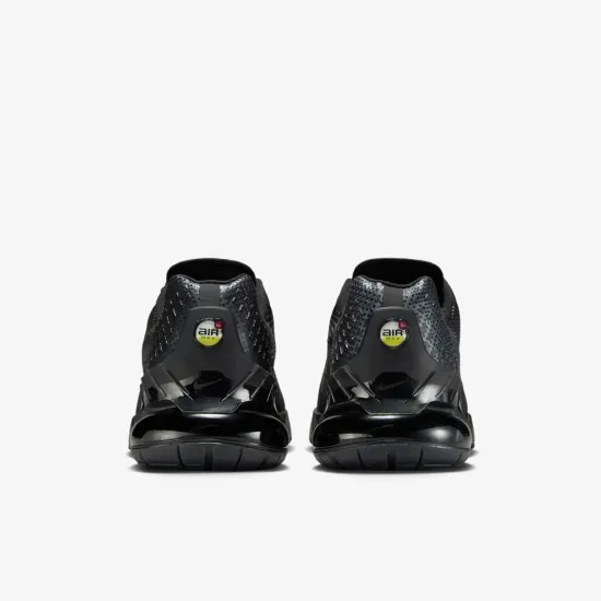 Кросівки Nike Air Max Phoenix FZ5307-004