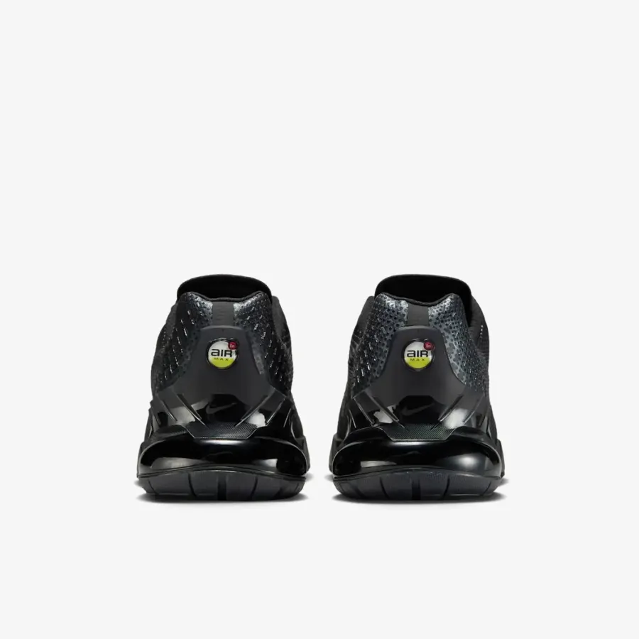Кросівки Nike Air Max Phoenix FZ5307-004