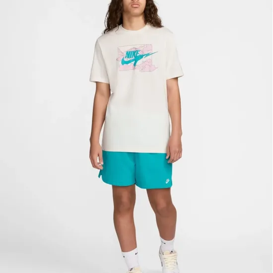 Футболка Nike Club FZ5419-133