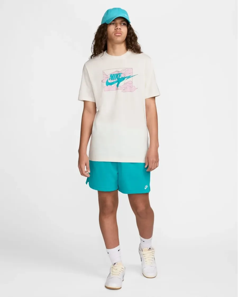 Футболка Nike Club FZ5419-133