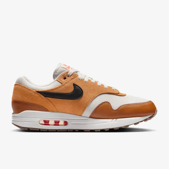 Кросівки Nike Air Max 1 Essential FZ5808-004