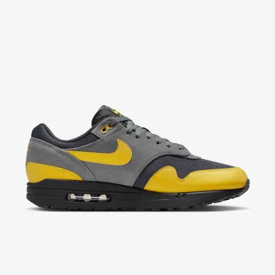 Кросівки Nike Air Max 1 Essential FZ5808-014