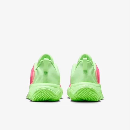 Кросівки Nike Giannis Immortality 4 FZ6734-304