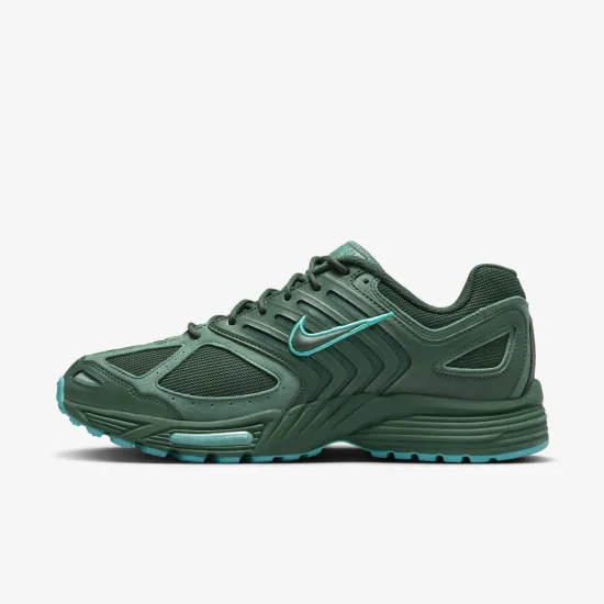 Кросівки Nike Air Pegasus 2K5 FZ7354-300