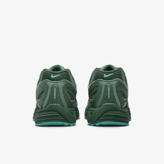 Кросівки Nike Air Pegasus 2K5 FZ7354-300