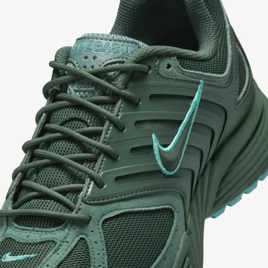 Кросівки Nike Air Pegasus 2K5 FZ7354-300