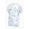 Футболка Nike Precision VII Jersey FZ9336-100