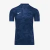 Футболка Nike Precision VII Jersey FZ9336-410