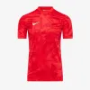 Футболка Nike Precision VII Jersey FZ9336-657