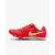 Шиповки Nike Air Zoom Rival Multi FZ9664-600
