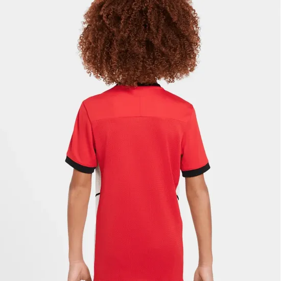Футболка Nike Dri-FIT Academy 25 FZ9758-657