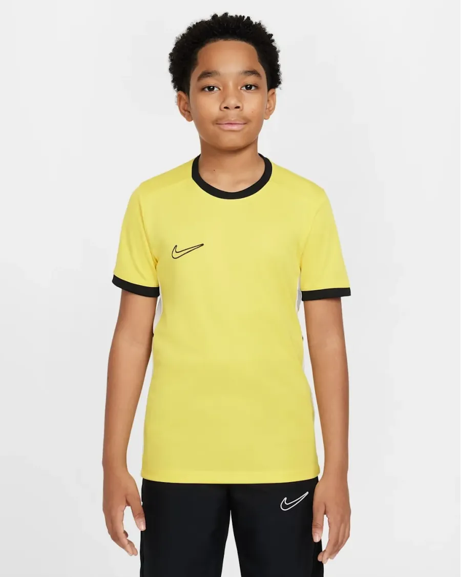 Футболка Nike Dri-FIT Academy 25 FZ9758-719