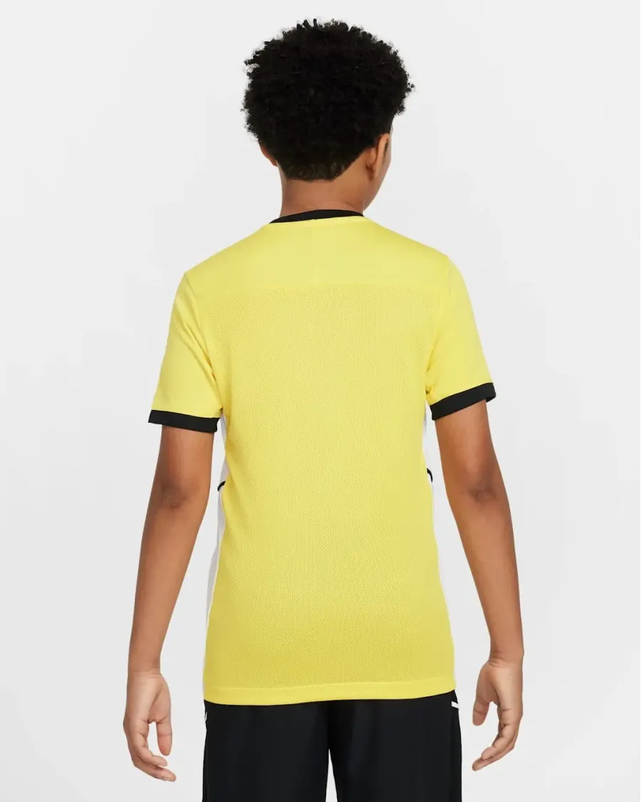 Футболка Nike Dri-FIT Academy 25 FZ9758-719