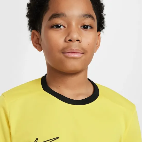 Футболка Nike Dri-FIT Academy 25 FZ9758-719