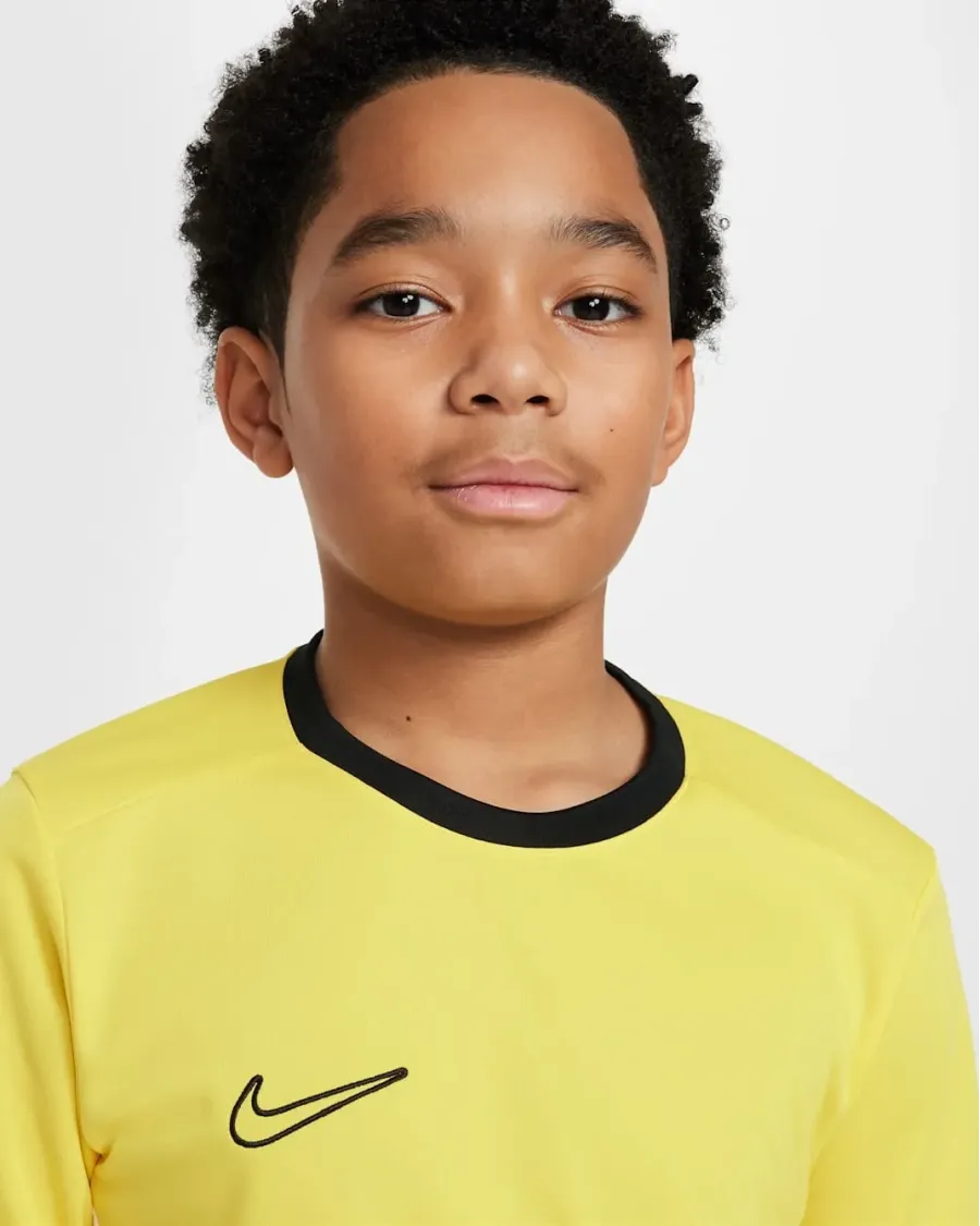 Футболка Nike Dri-FIT Academy 25 FZ9758-719