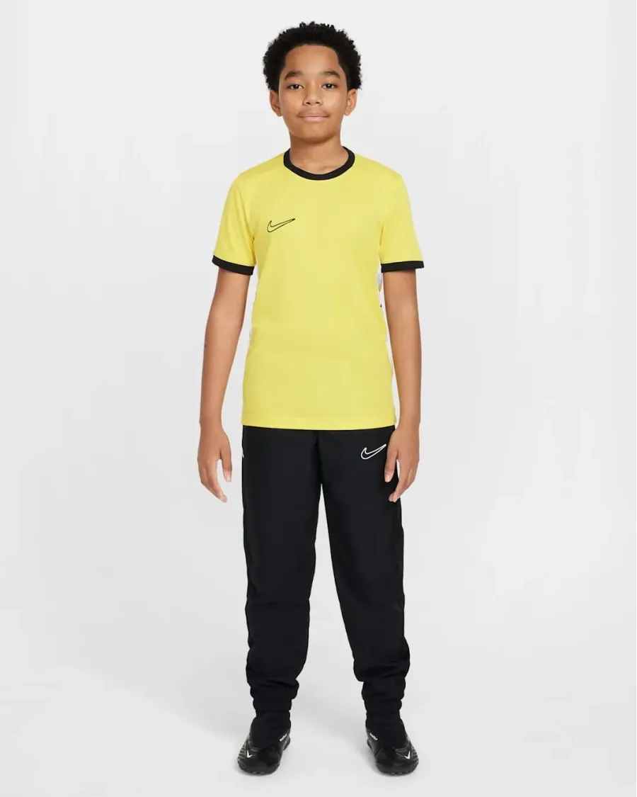 Футболка Nike Dri-FIT Academy 25 FZ9758-719