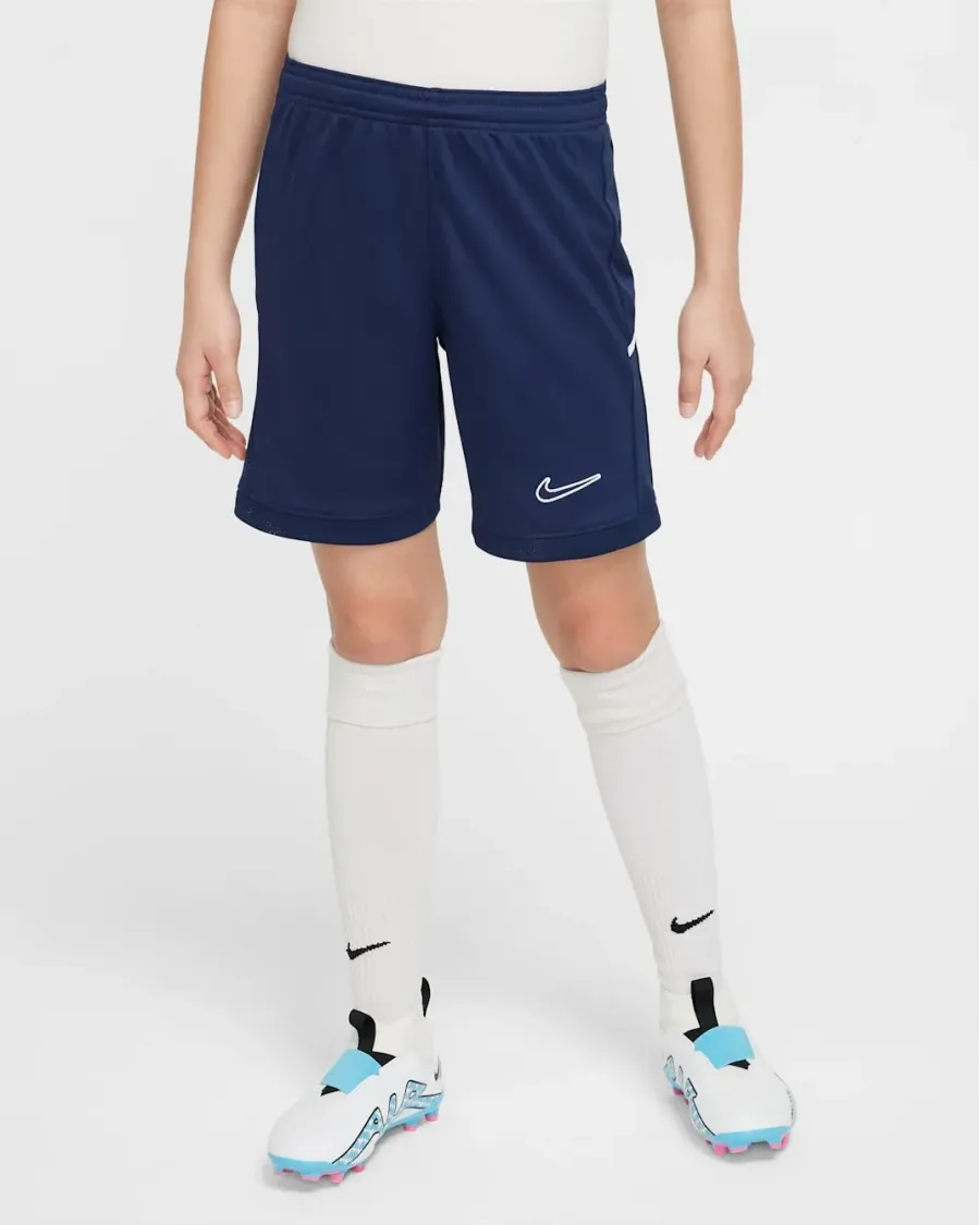 Шорти Nike Academy Dri-FIT FZ9784-410