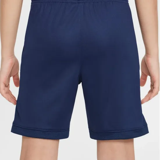 Шорти Nike Academy Dri-FIT FZ9784-410