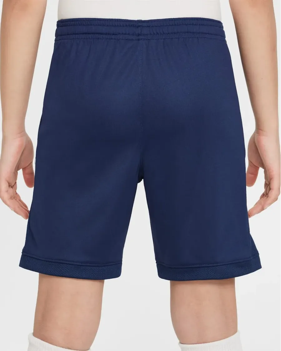 Шорти Nike Academy Dri-FIT FZ9784-410