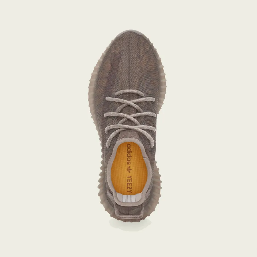 Кросівки Adidas Yeezy Boost 350 V2 GW2871