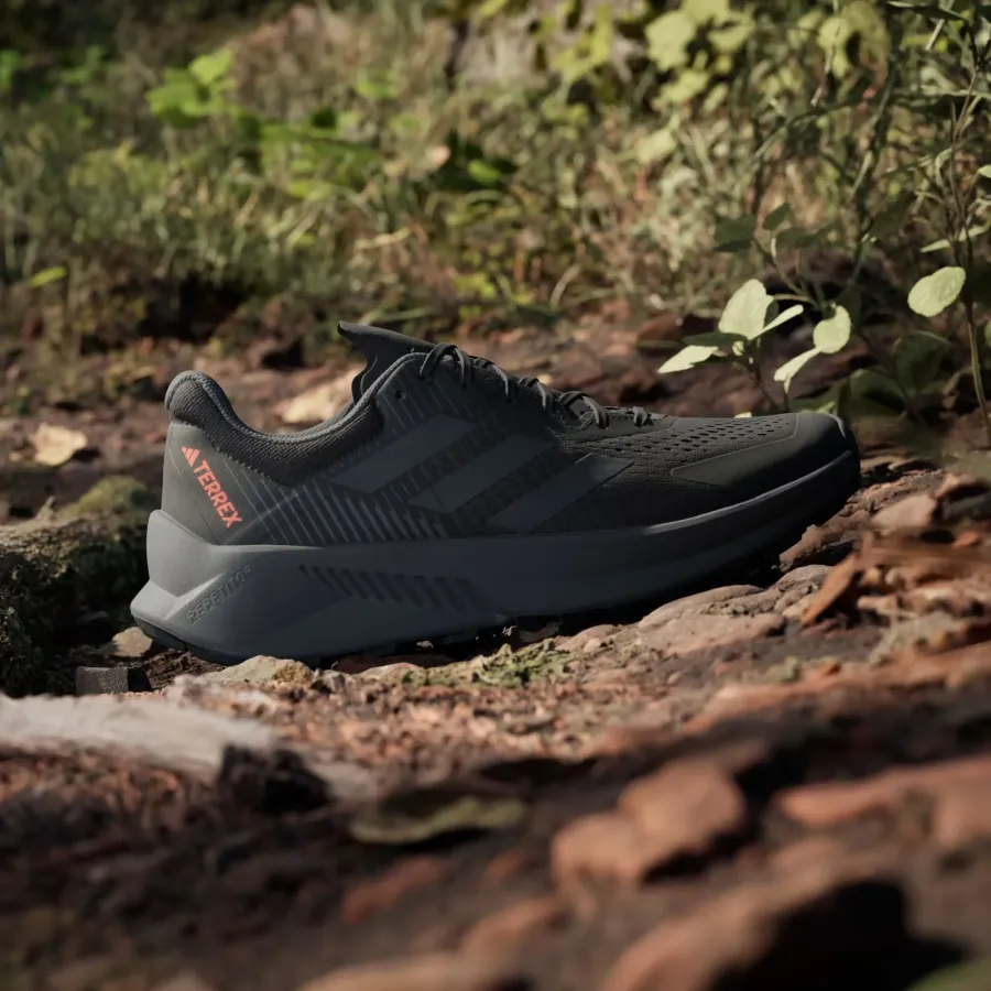 Кросівки Adidas Terrex Soulstride Flow GX1822